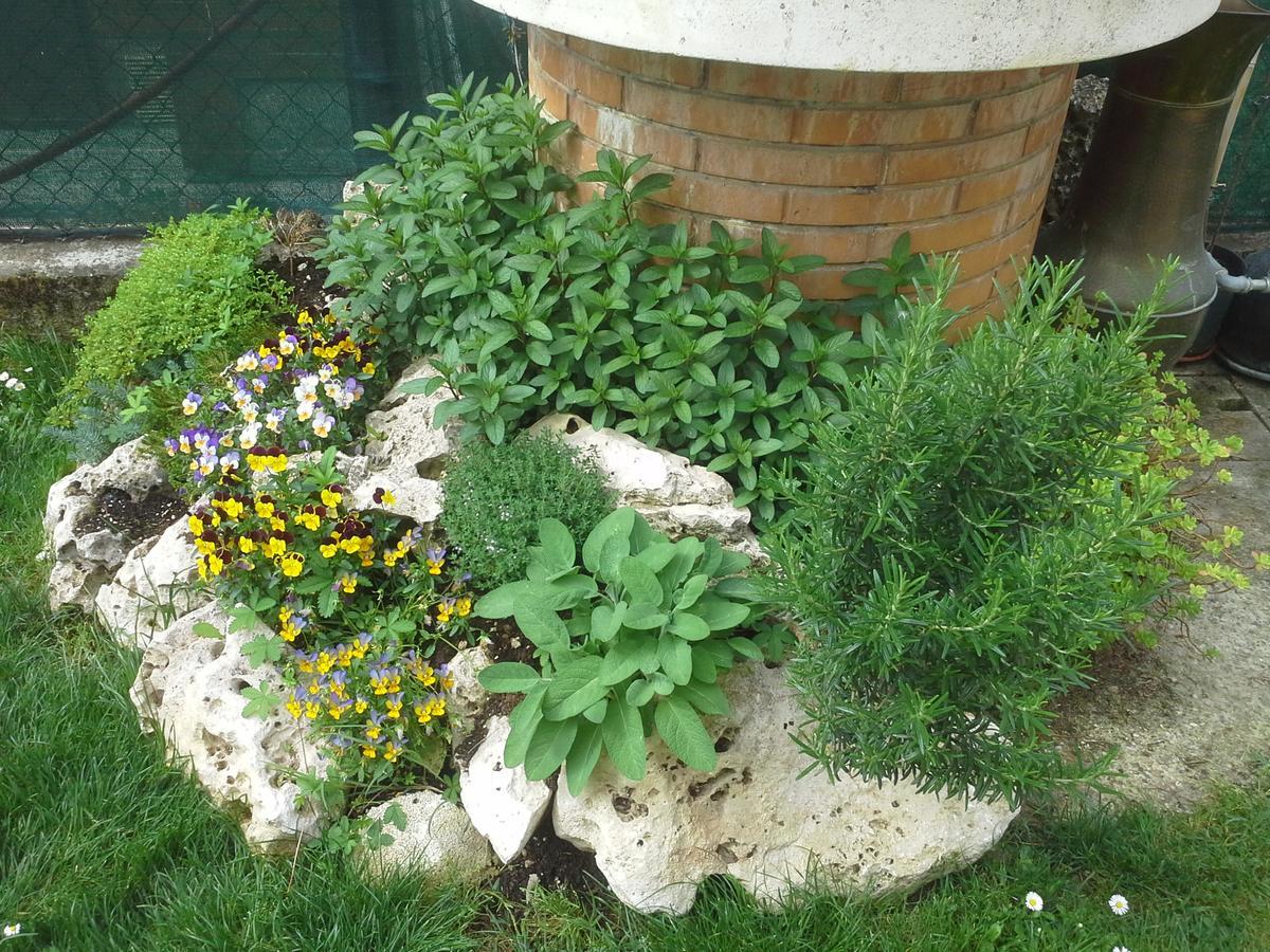Ciccilia Bed and breakfast Bentivoglio